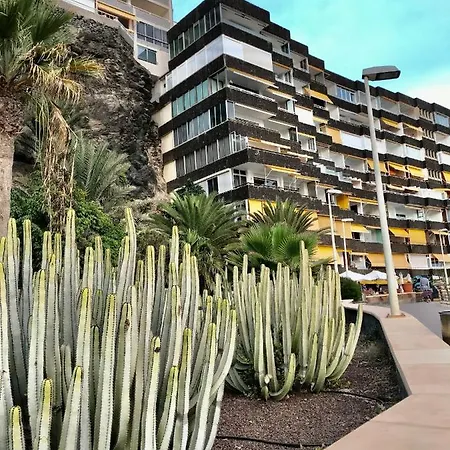 Apartment Exclusives 10 Meters To Ocean *