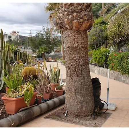 아파트 Exclusives 10 Meters To Ocean