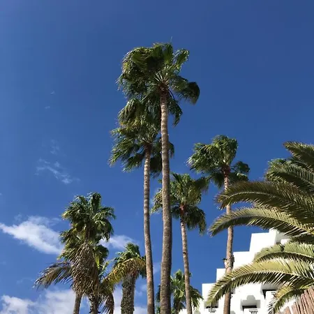 Exclusives 10 Meters To Ocean * Maspalomas (Gran Canaria)