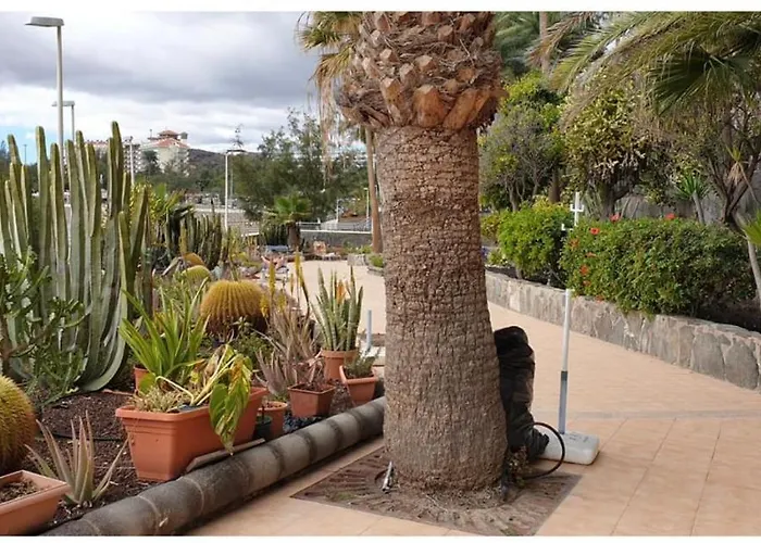 Apartmán Exclusives 10 Meters To Ocean