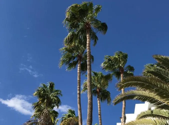 Exclusives 10 Meters To Ocean * Maspalomas (Gran Canaria)