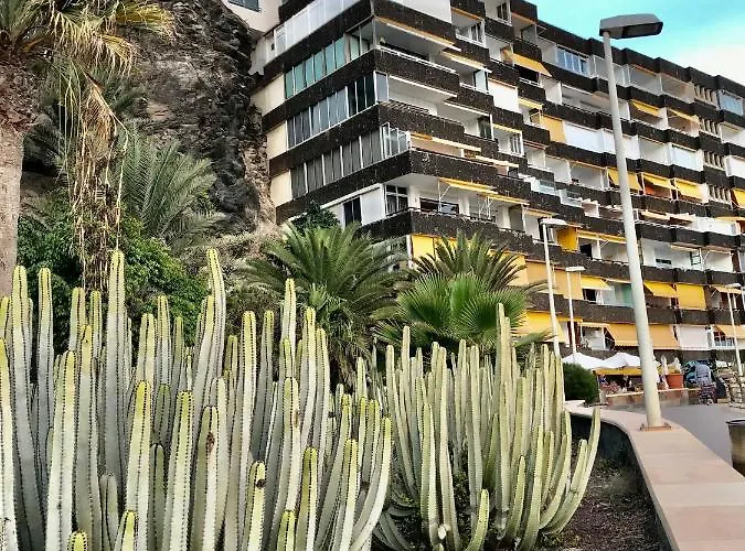 Apartmán Exclusives 10 Meters To Ocean *